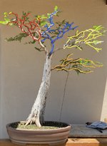 E5549955-BE00-4F2D-9255-C31A748253B1.jpeg