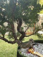 IMG_2283.JPG