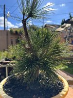 IMG_0370.jpeg