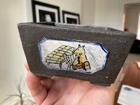 IMG_6926.jpeg