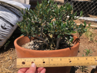 1688236796262.png 1688236796262.png