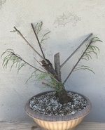 IMG_0879.jpeg