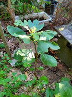 20230705_163102.jpg 20230705_163102.jpg