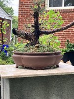 IMG_6611.jpeg