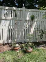 IMG_0622.jpeg