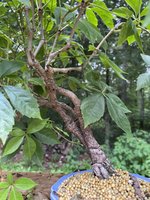 IMG_7666.jpeg