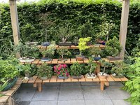 IMG_5734.jpeg