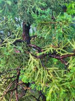 20230717_063731.jpg