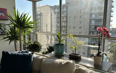 F8B2EEDF-64F7-4BB0-B05C-825C2EFF8522.jpeg F8B2EEDF-64F7-4BB0-B05C-825C2EFF8522.jpeg