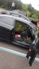 20220731_190711.jpg 20220731_190711.jpg