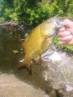 20230616_161540.jpg