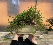 IMG_0887.jpeg