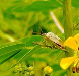IMG_20230718_124024.jpg