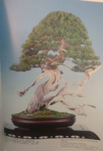 1690991024076.png