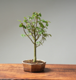 Screenshot 2023-08-03 at 10.36.36 PM.png