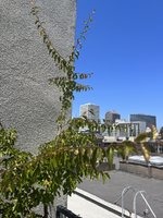 IMG_1325.jpeg