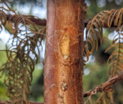 Screenshot 2023-08-06 112940.png