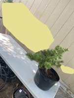 Bakersbullion92 JWP.jpeg Bakersbullion92 JWP.jpeg