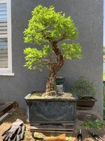IMG_7343.jpeg