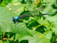IMG_20230812_180324.jpg