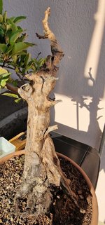 20230814_182041.jpg