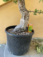 1692040320528.png 1692040320528.png