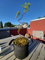 20230513_181647.jpg