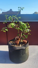 20230814_181656.jpg 20230814_181656.jpg