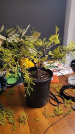 20221120_220307.jpg