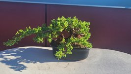 20230814_181606.jpg