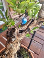 20230815_084633.jpg
