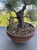 0BE8AA0C-DC35-4D2C-8188-D16F36F7FDB4.jpeg 0BE8AA0C-DC35-4D2C-8188-D16F36F7FDB4.jpeg