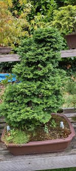 IMG_20230805_130011371_HDR.jpg IMG_20230805_130011371_HDR.jpg