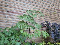 20230815_195940.jpg