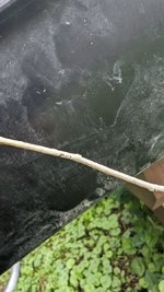PXL_20230815_181156999.jpg