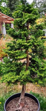 IMG_20230805_125945523_HDR~3.jpg