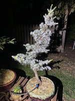 28D6D666-820D-42AF-A8F4-374C056BE1AC.jpeg