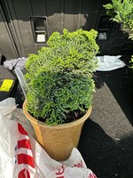 IMG_1278.jpeg