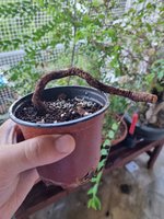 20230825_080927.jpg
