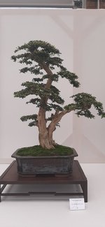 20230826_104954.jpg