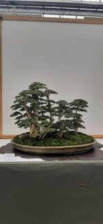 20230826_111306.jpg