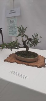 20230826_111502.jpg