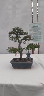 20230826_111519.jpg
