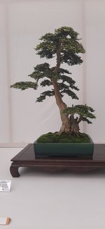 20230826_104610.jpg