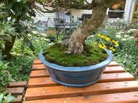 IMG_1749.jpeg