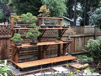 IMG_2270.jpeg