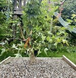 IMG_9685.jpeg