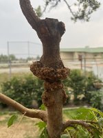 IMG_3860.jpeg