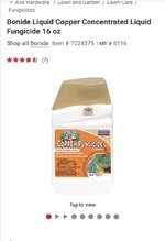 IMG_9704.jpeg IMG_9704.jpeg