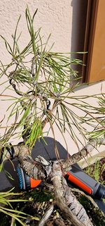 20230830_160923.jpg 20230830_160923.jpg